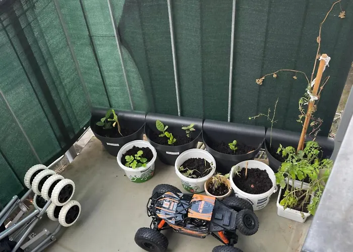 Dikmen Altorigo Family