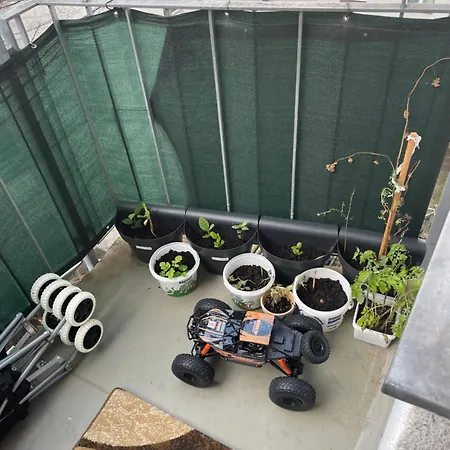 Dikmen Altorigo Family